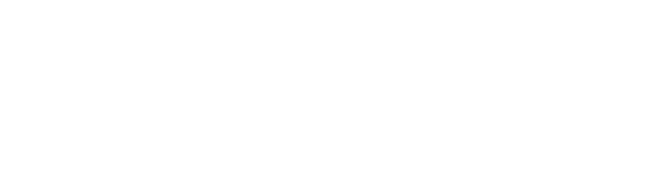 Spectrum IT logo